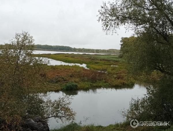 Музей деревянного зодчества Витославлицы (Россия, Новгородская область) фото