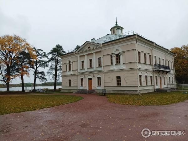 Музей деревянного зодчества Витославлицы (Россия, Новгородская область) фото