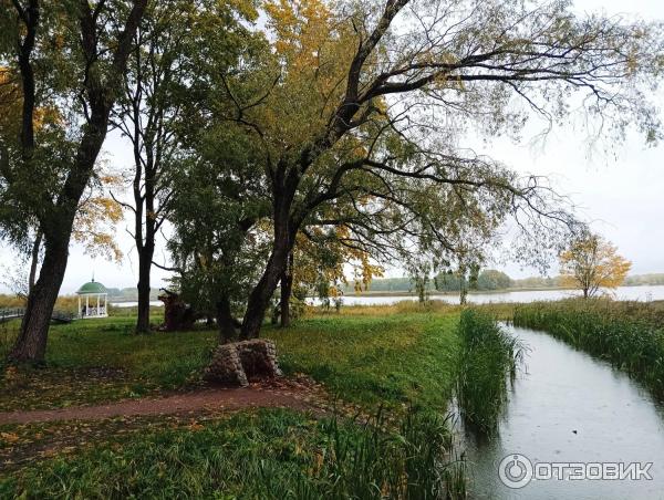 Музей деревянного зодчества Витославлицы (Россия, Новгородская область) фото