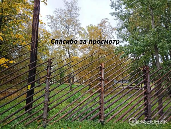 Музей деревянного зодчества Витославлицы (Россия, Новгородская область) фото