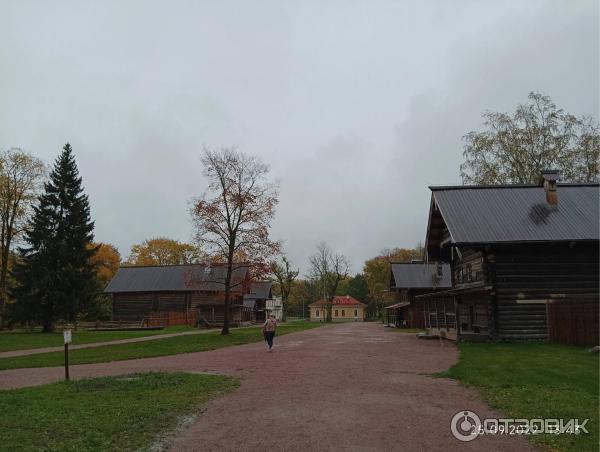 Музей деревянного зодчества Витославлицы (Россия, Новгородская область) фото