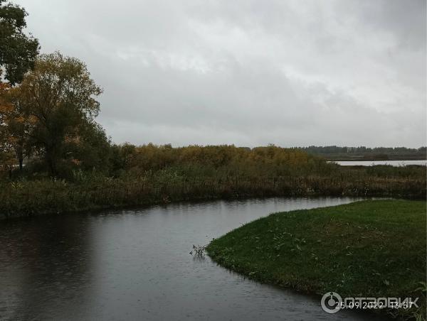 Музей деревянного зодчества Витославлицы (Россия, Новгородская область) фото