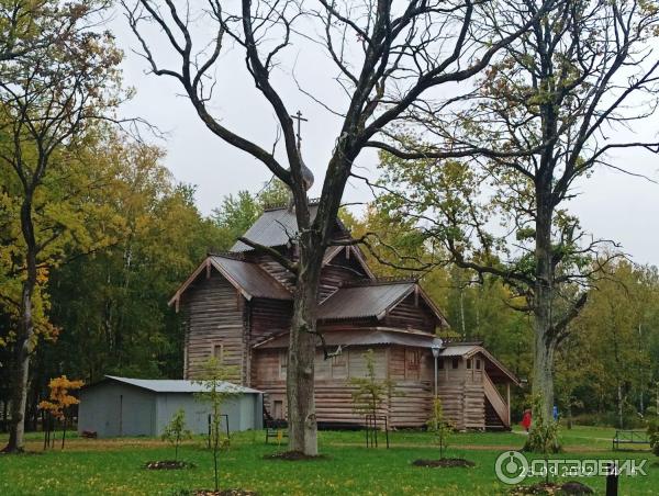 Музей деревянного зодчества Витославлицы (Россия, Новгородская область) фото