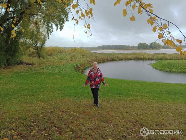 Музей деревянного зодчества Витославлицы (Россия, Новгородская область) фото