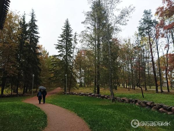 Музей деревянного зодчества Витославлицы (Россия, Новгородская область) фото