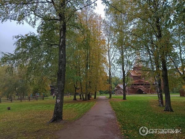 Музей деревянного зодчества Витославлицы (Россия, Новгородская область) фото