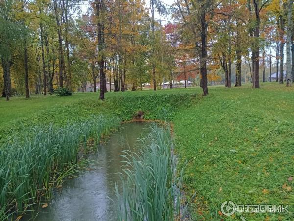 Музей деревянного зодчества Витославлицы (Россия, Новгородская область) фото