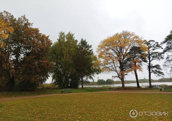 Музей деревянного зодчества Витославлицы (Россия, Новгородская область) фото