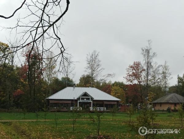 Музей деревянного зодчества Витославлицы (Россия, Новгородская область) фото