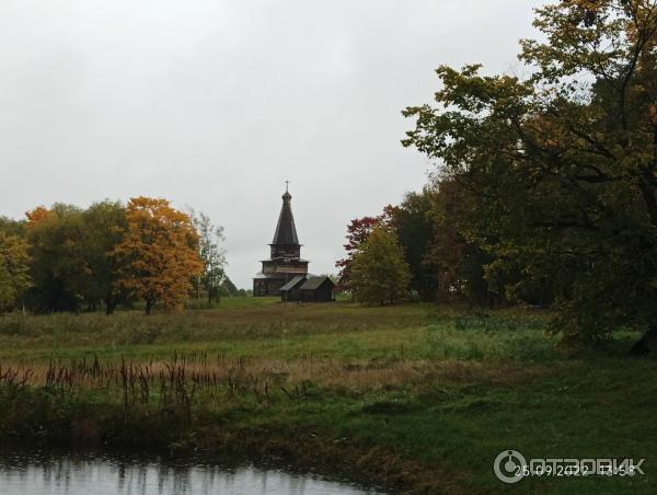 Музей деревянного зодчества Витославлицы (Россия, Новгородская область) фото