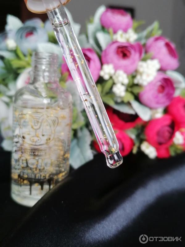 Сыворотка для лица Elizavecca Milky Piggy Hell-pore Gold essence фото