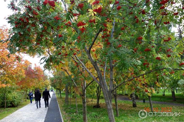 Парк Черное озеро (Россия, Казань)