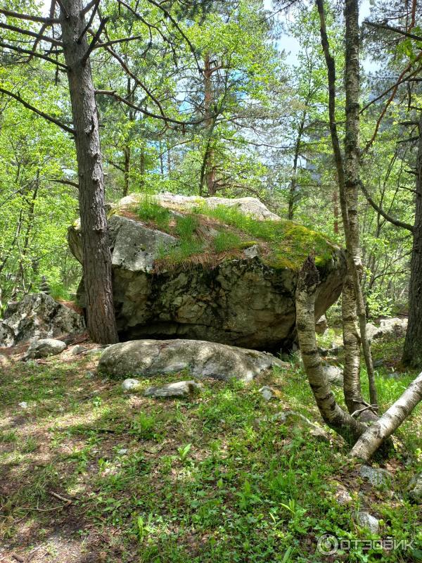 Экскурсия Цейское ущелье - Сказский ледник - Цей (Россия, Северная Осетия) фото