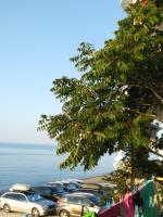 Поселок Рыбачье (Крым) фото