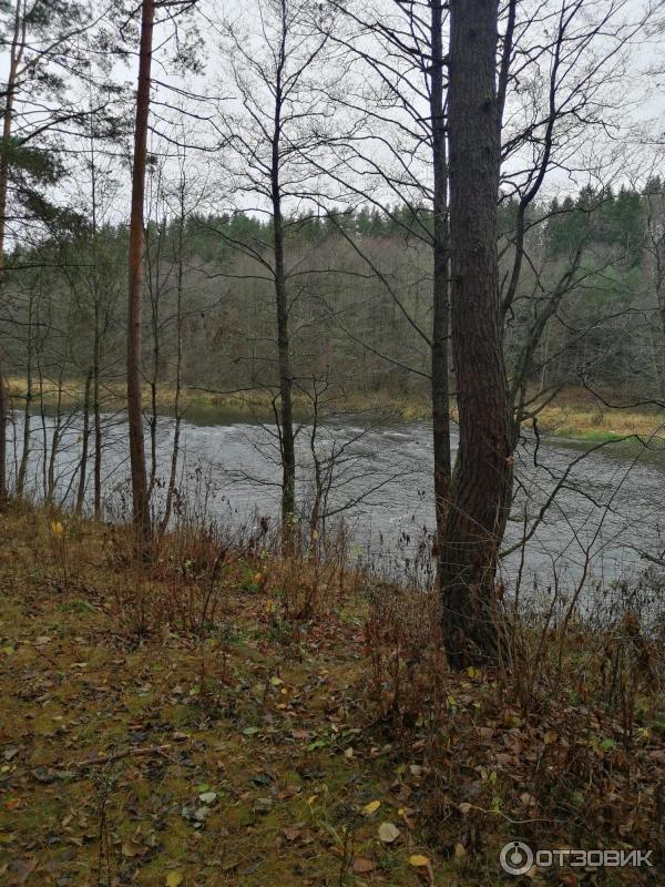 Санаторий Лесная поляна (Беларусь, Гродненская область) фото