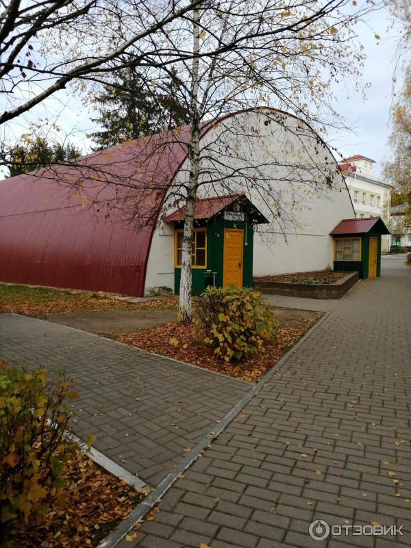 Санаторий Лесная поляна (Беларусь, Гродненская область) фото