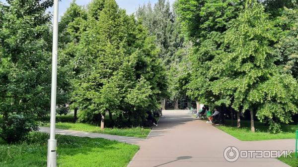 Самарский академический театр оперы и балета (Россия, Самара) фото