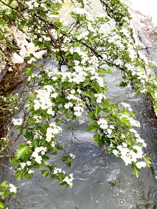 Хучнинский водопад (Россия, Дагестан) фото