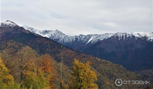 Экскурсия по олимпийской деревне (Россия, Сочи) фото