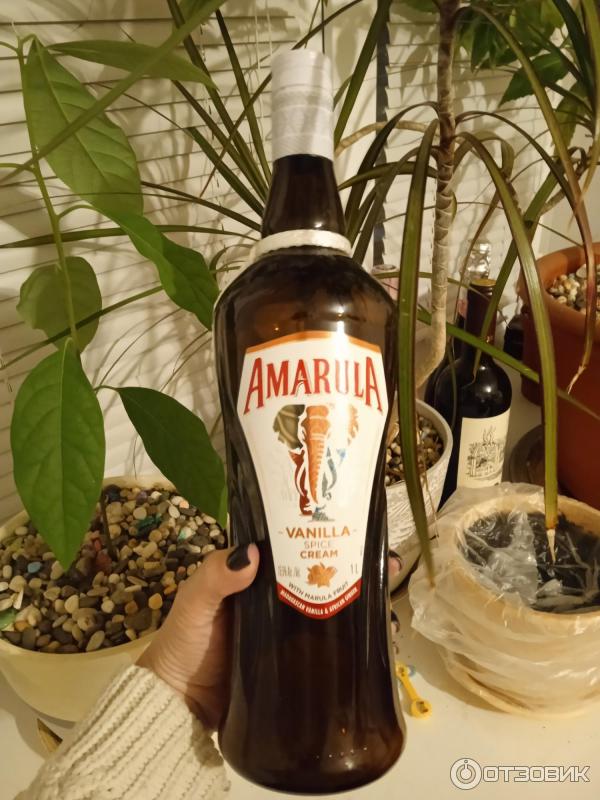 Ликер Amarula Vanilla Spice Cream фото