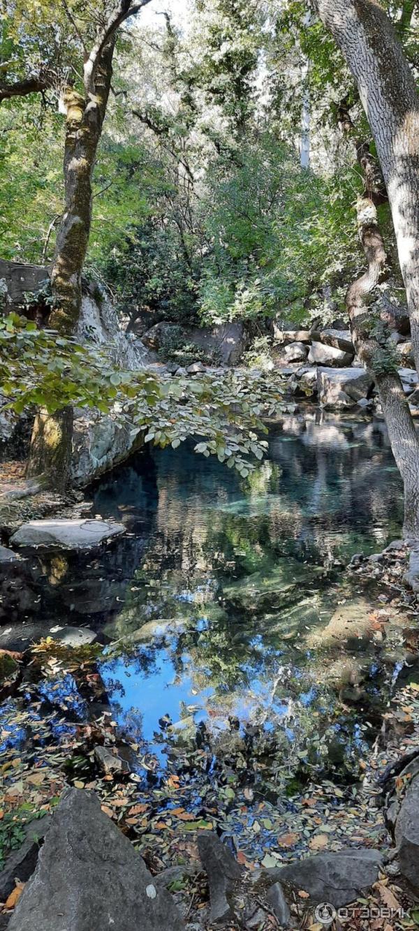 Воронцовский Парк (Крым, Алупка) фото