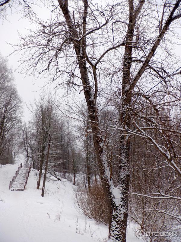 Лестница в парке Мариенталь