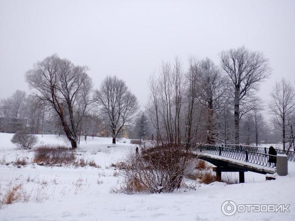 В парке Мариенталь
