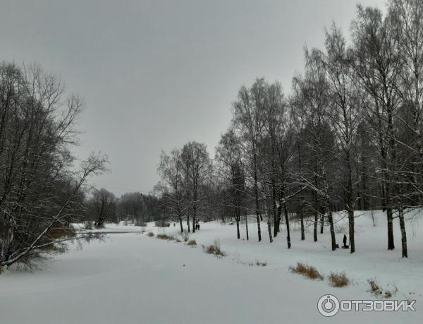 Река в парке