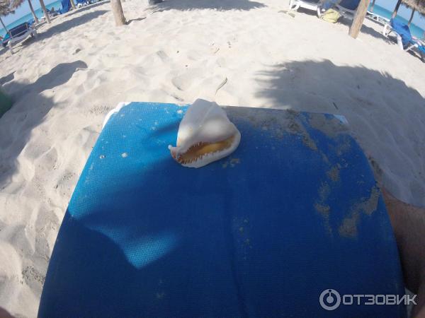 Отель Memories Varadero Beach Resort 5* (Куба, Варадеро) фото
