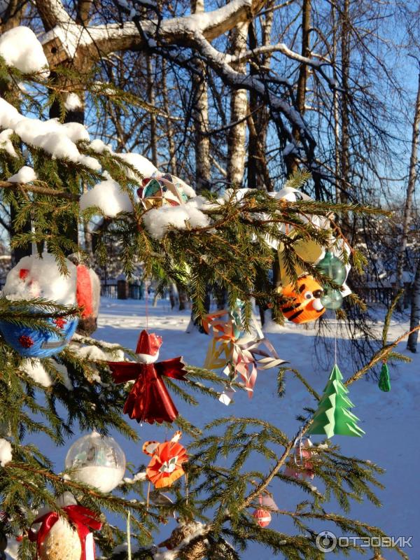 Праздничные усадебные гуляния Карабиха рождественская OPEN AIR (Россия, Ярославль) фото