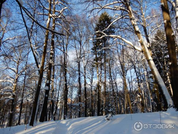 Праздничные усадебные гуляния Карабиха рождественская OPEN AIR (Россия, Ярославль) фото