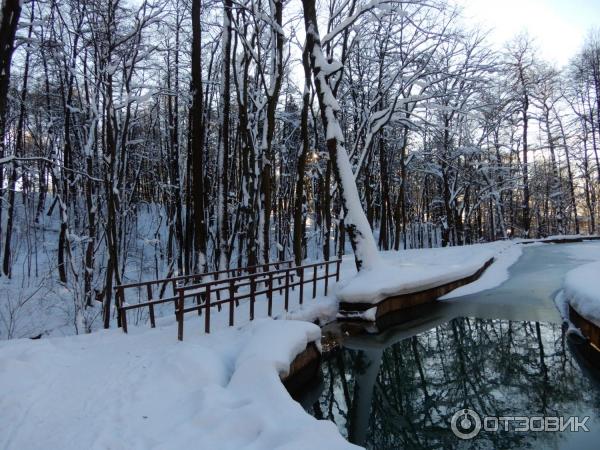 Праздничные усадебные гуляния Карабиха рождественская OPEN AIR (Россия, Ярославль) фото