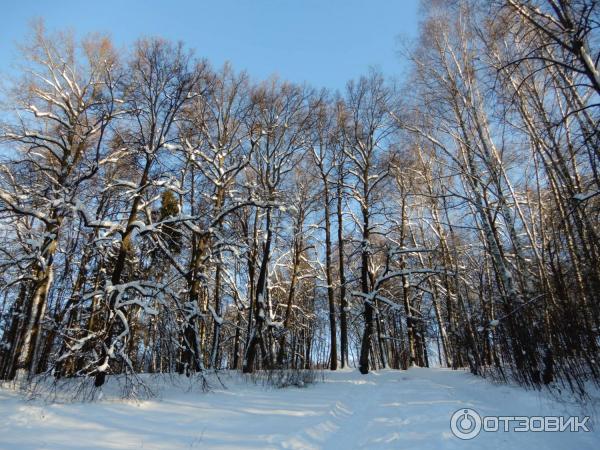 Праздничные усадебные гуляния Карабиха рождественская OPEN AIR (Россия, Ярославль) фото