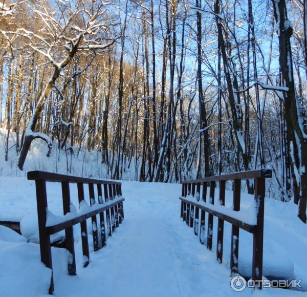 Праздничные усадебные гуляния Карабиха рождественская OPEN AIR (Россия, Ярославль) фото