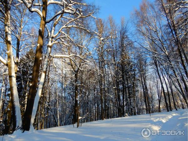 Праздничные усадебные гуляния Карабиха рождественская OPEN AIR (Россия, Ярославль) фото