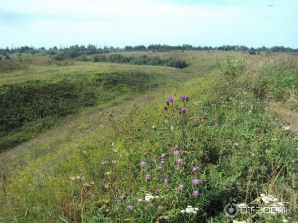 Экскурсия по г. Старица (Россия, Тверская область) фото