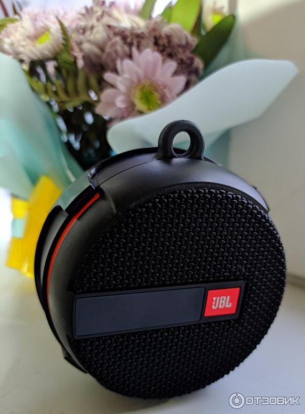 Портативная колонка Jbl Wind 2 фото