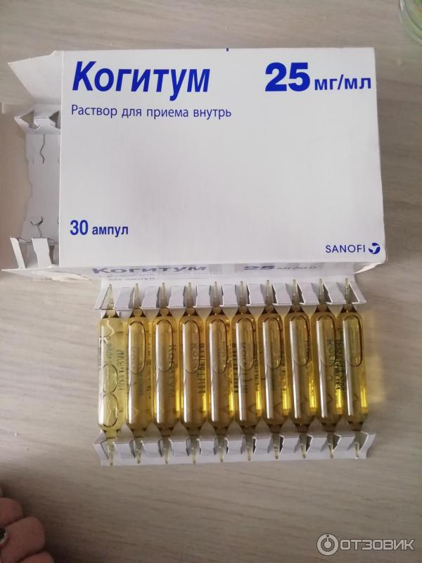 Когитум 6 лет. Когитум 6 лет