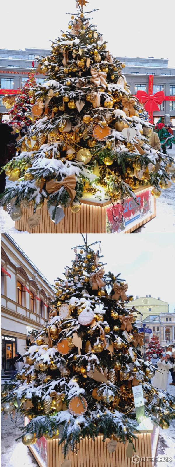 Выставка авторских елок Елки больших городов (Россия, Москва) фото