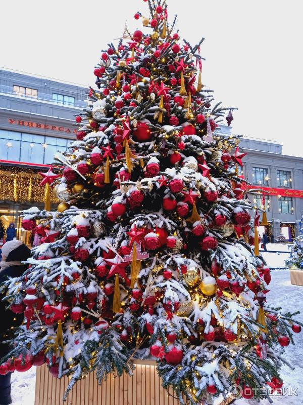 Выставка авторских елок Елки больших городов (Россия, Москва) фото