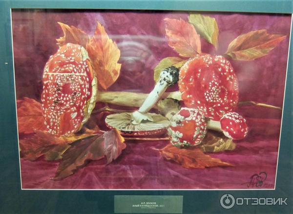 Алый калейдоскоп