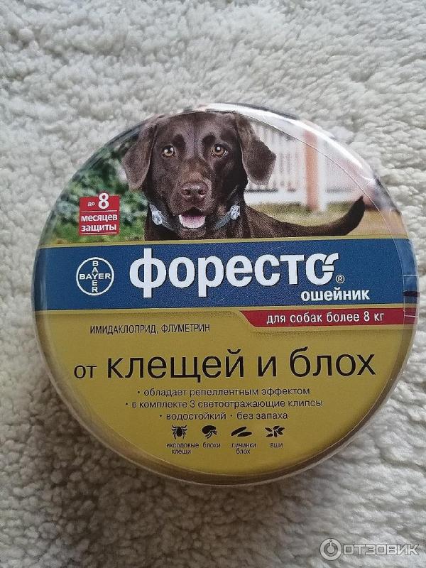 Форесто ошейник для собак от блох отзывы. Форесто ошейник для собак. байер ошейник для собак от клещей. ошейник от блох форесто. форесто для кошек.
