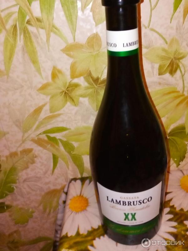 Винный напиток газированный Вагрус, LAMBRUSCO BIANCO белое полусладкое фото