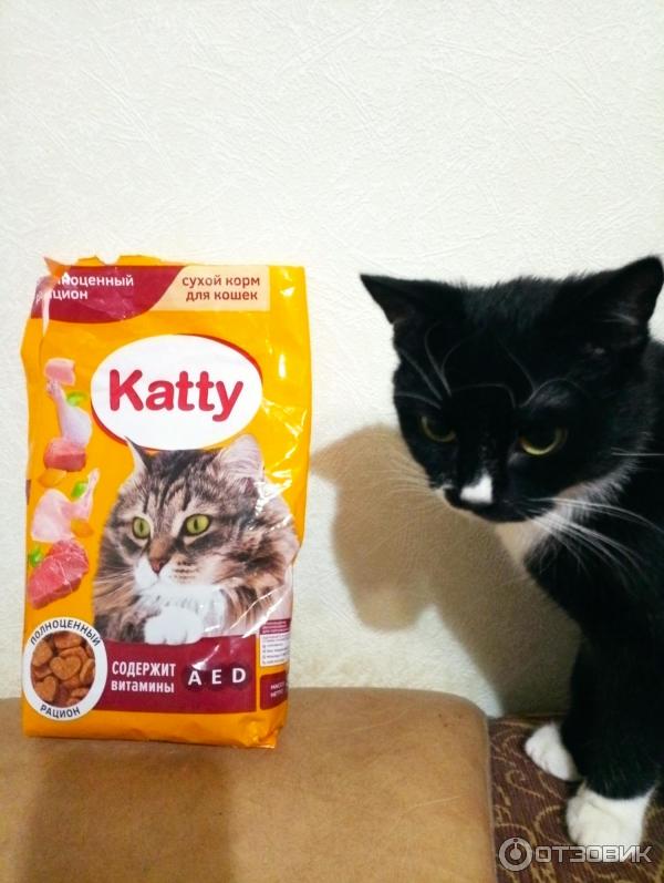 Влажный Корм Для Кошек Katty Купить