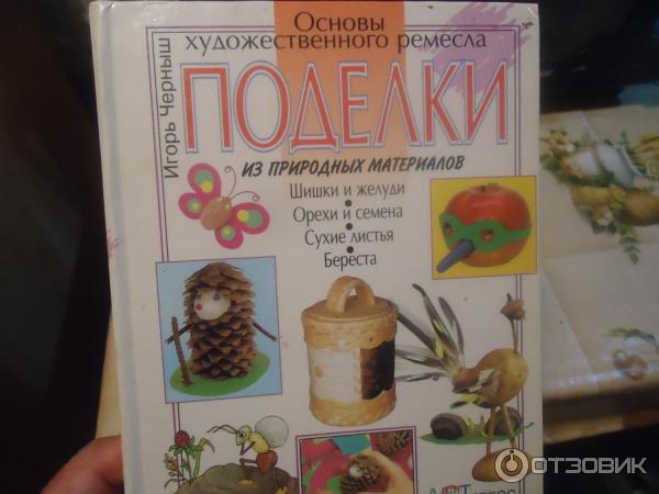 «Поделки из природных материалов» читать онлайн книгу 📙 автора Наталии Дубровской на forpost-audit.ru