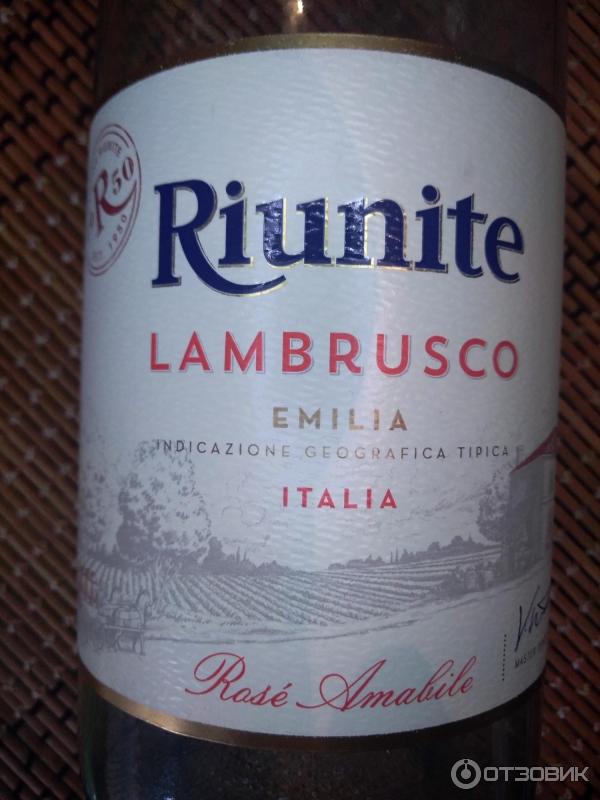 Вино Riunite Lambrusco Rose Emilia фото