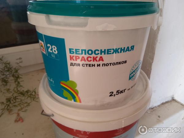 Краска интерьерная акриловая белоснежная матовая Радуга 26 фото