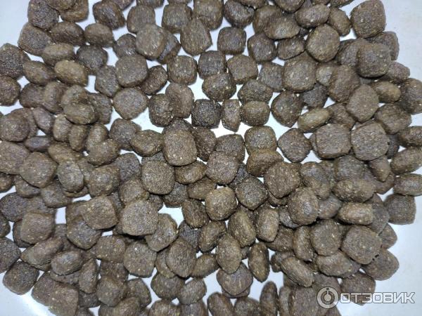 Корм для собак MONGE SPECIALITY фото