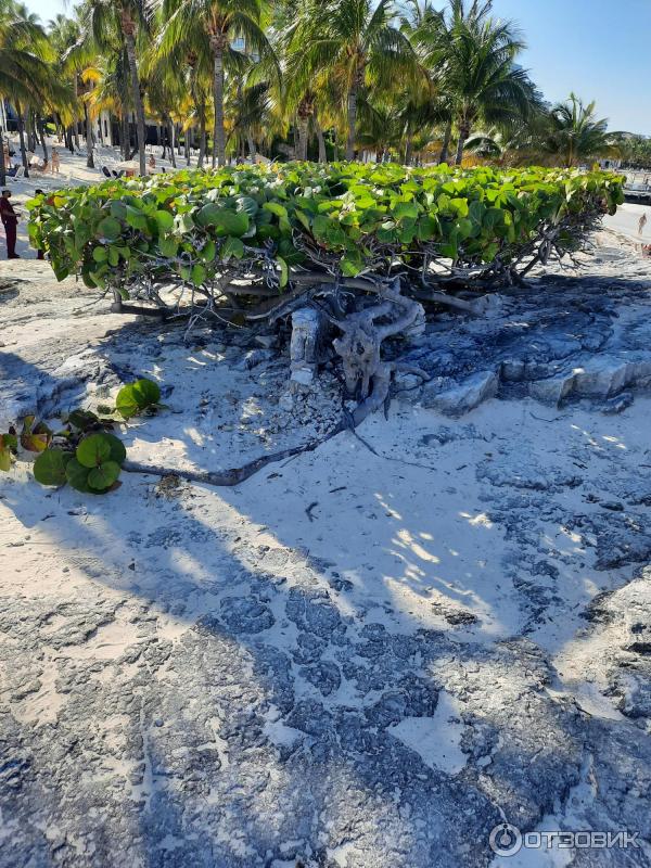 Отель Dos Playas Hotel Cancun 3* (Мексика, Канкун) фото