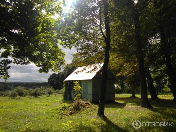 Ясная Поляна (Россия, Тульская область) фото